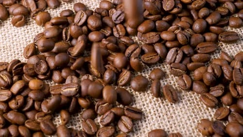 Coffee Beans Falling on Burlap Sack Background