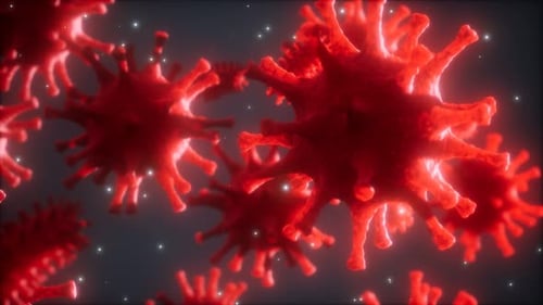 Red Virus Cells Floating Microscopic Particle Animation