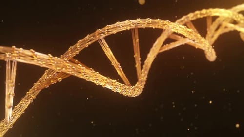 Abstract DNA Particles