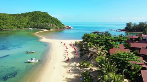 Aerial drone shot travel of exotic tourist beach wildlife by blue sea with white sand background of