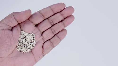 Hand Holding Mixed Sesame Seeds Close Up
