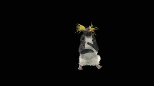 Penguin Dancing HD