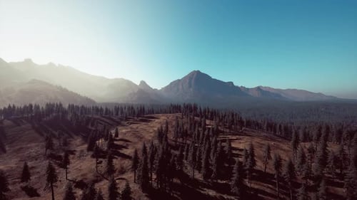 Vista aérea sobre la cordillera con el bosque de pinos en Baviera