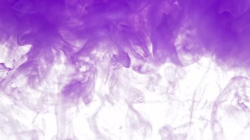 Flowing Purple Ink on White Background