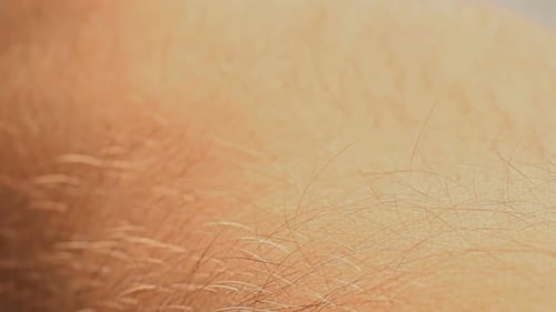 Arm Skin Close Up Macro