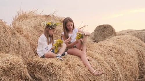 Girls Arranging Flowers on Hay Bale at Farm