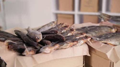 Selection of Various Types of Dried Fish