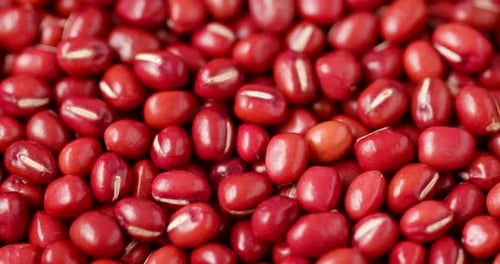 Red Adzuki bean