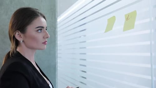 Business Woman Planning Project Strategy In Office