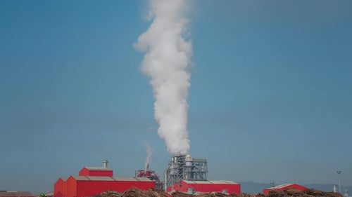 Zona industrial de humo blanco espeso en la mañana.