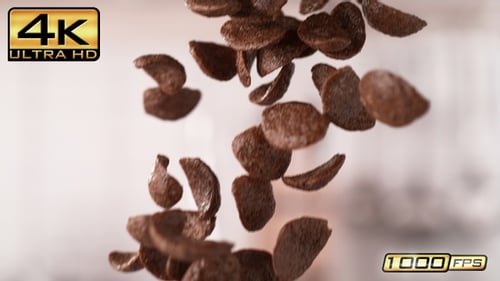 Chocolate Corn Flakes Falling on Blurred Background