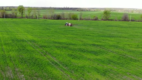 Traktor sprüht Pestizide auf Getreidefeld