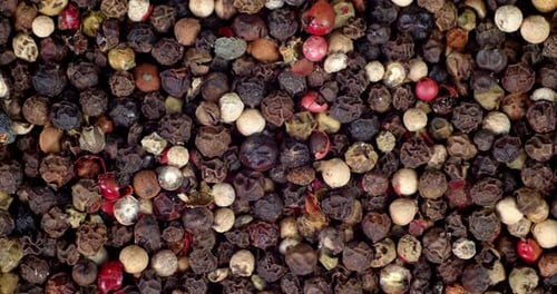 Macro Pile of Mixed Peppercorns Close Up