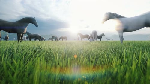Horses Grazing in Green Field with Sunrise Lens Flare