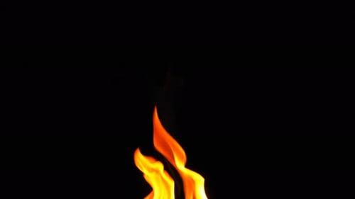 Fire Burning Heat Flame On Black Background