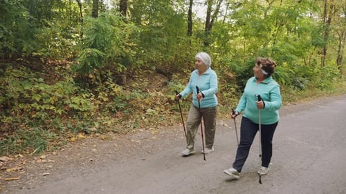 Senior Women Enjoying Nordic Walking in the Forest