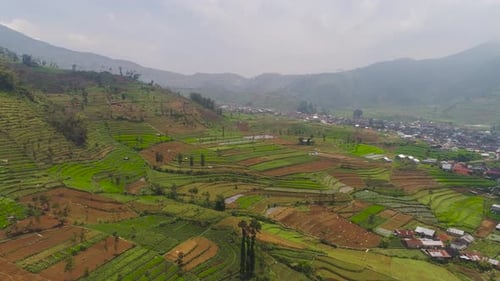 Aerial View of Terraced Farms in Rural Landscape