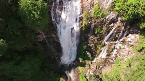 Forest Waterfall
