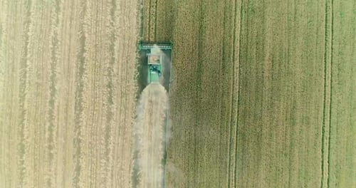 Moissonneuse-batteuse moderne travaillant sur la culture du blé. Vue aérienne.