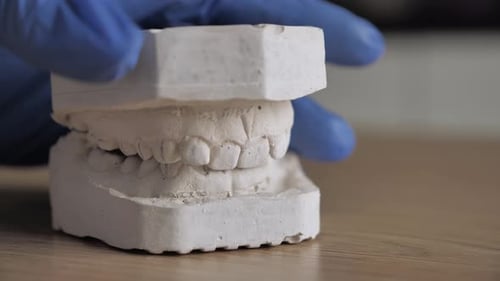 Extra Close Up Imitation Oral Cavity From Plaster