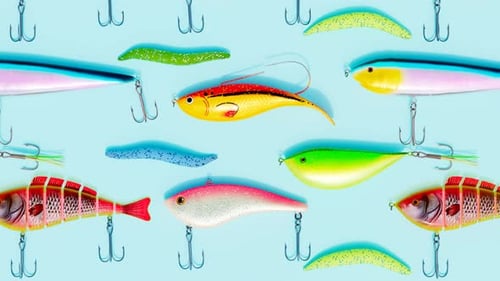 Seamless Animated Pattern of Colorful Fishing Lures and Hooks, Miscellaneous Motion Graphics ft. fishing & hooks - Envato Seamless Animated Pattern of Colorful Fishing Lures and Hooks, Miscellaneous Motion Graphics ft. fishing & hooks - Envato