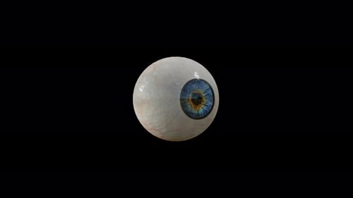 Realistic 3D Human Eyeball Rotating Medical Science Animation