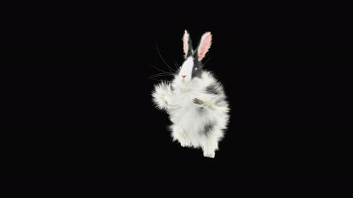 Cute Fluffy Rabbit Waving Animation