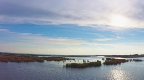 Aerial View of Lake and Marshland Landscape