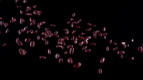 Animated Kidney Beans Rising on Black Background
