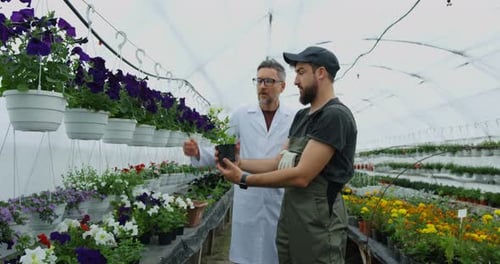 Scientist and Gardener Examining Plant in Greenhouse