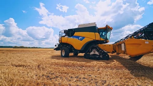Harvesting machine working in field. Combine harvester working on the large wheat field
