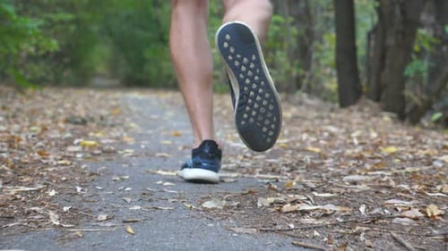 Legs of Sporty Man Running Along Trail in Early Autumn Forest. Male Feet of Young Athlete Sprinting