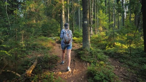 Active Woman with a Backpack Walking Through the Woods. Back View