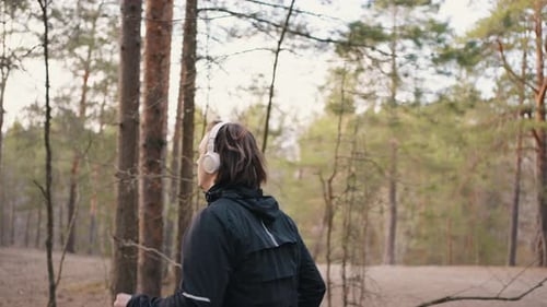Sporty Man Runs Along Path in Old Pine Forest in Morning
