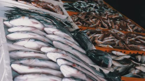 Frischer Seefisch im Eis verkauft auf dem Showcase des Seafood Street Market