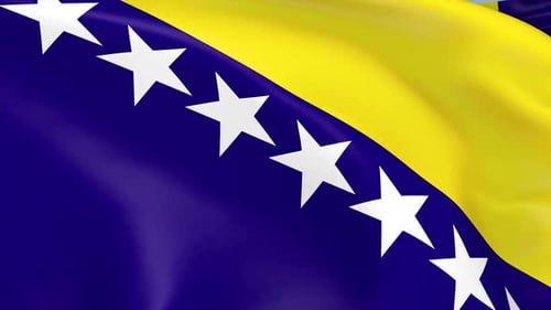 Bosnia and Herzegovina Flag