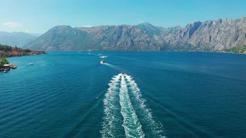 Boat Tour on the Water Bay