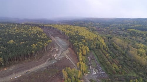 Construction of a new road in the forest area. 06