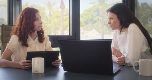 Two business women meeting in an office to discuss a project