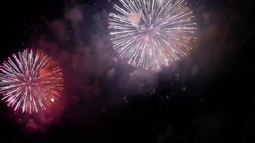 Colorful Fireworks Exploding Against the Night Sky