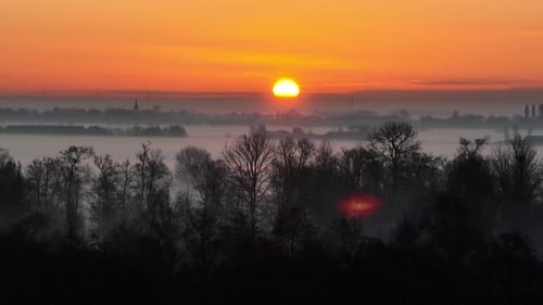 Sunrise over fog, Krimpenerwaard, The Netherlands. Forest. Fields.