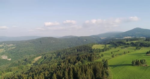 Blue Sky and Forest Drone Shot From Above