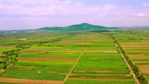 Aerial View of Green and Brown Farmland