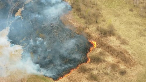 Aerial View Spring Dry Grass Burns During Drought Hot Weather