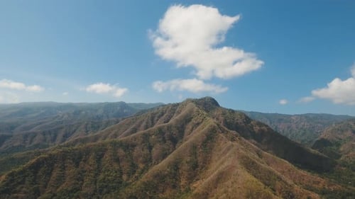 View Mountain Forest Landscape