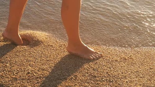 Women's Feet Close-up Walking Barefoot on the Beach, a Sandy Beach at Sunset. Feet Walking on Wet