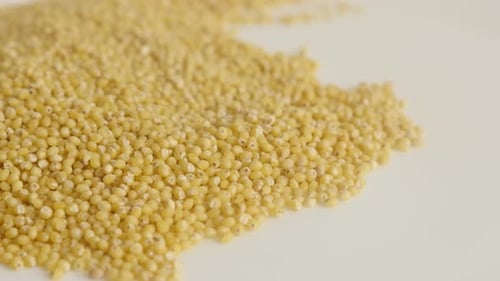 Pile of Yellow Millet Cereal Grain, Close Up