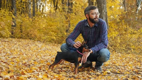 Satisfied Man with a Beard in the Park with a Dog