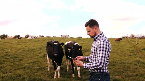 Man using digital tablet