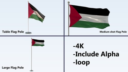 Animated Waving Palestine Flag on Different Poles